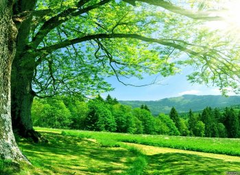 Ut enim ad minim veniam, quis nostrud exercitation.